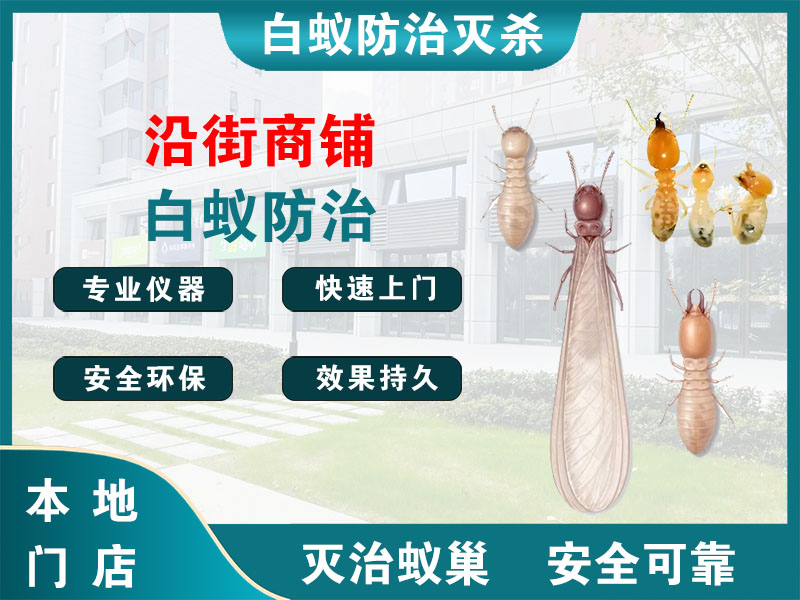 新沂沿街商铺白蚁防治