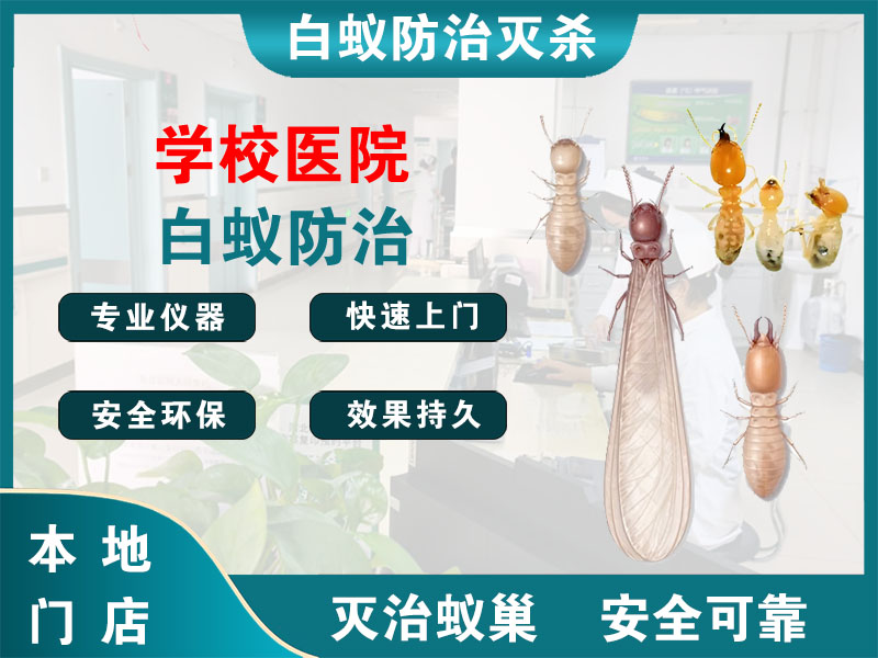 新沂学校医院白蚁防治