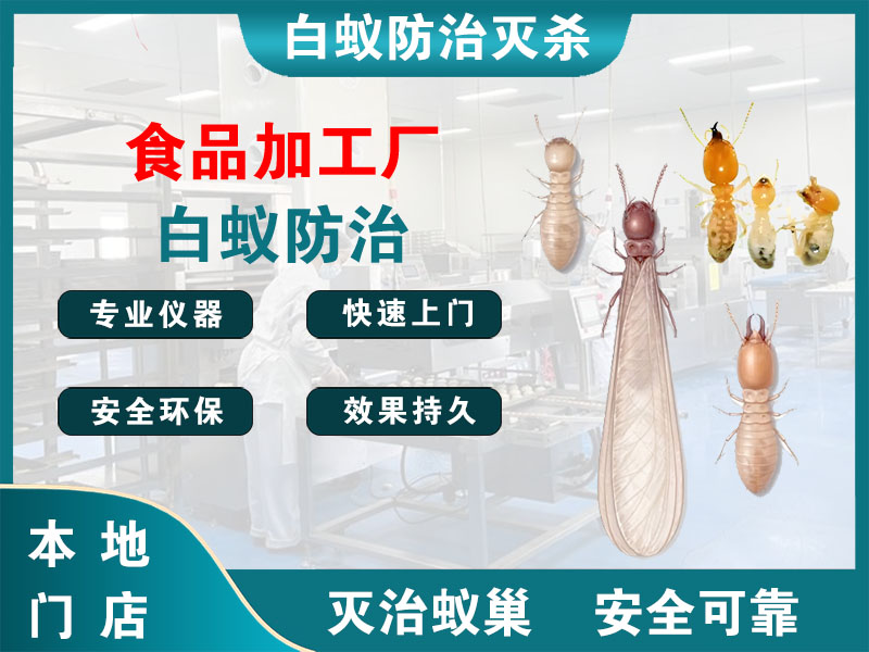 新沂食品加工厂白蚁防治