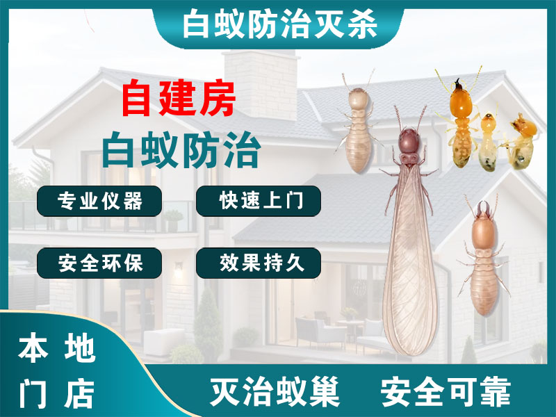 新沂自建房白蚁防治