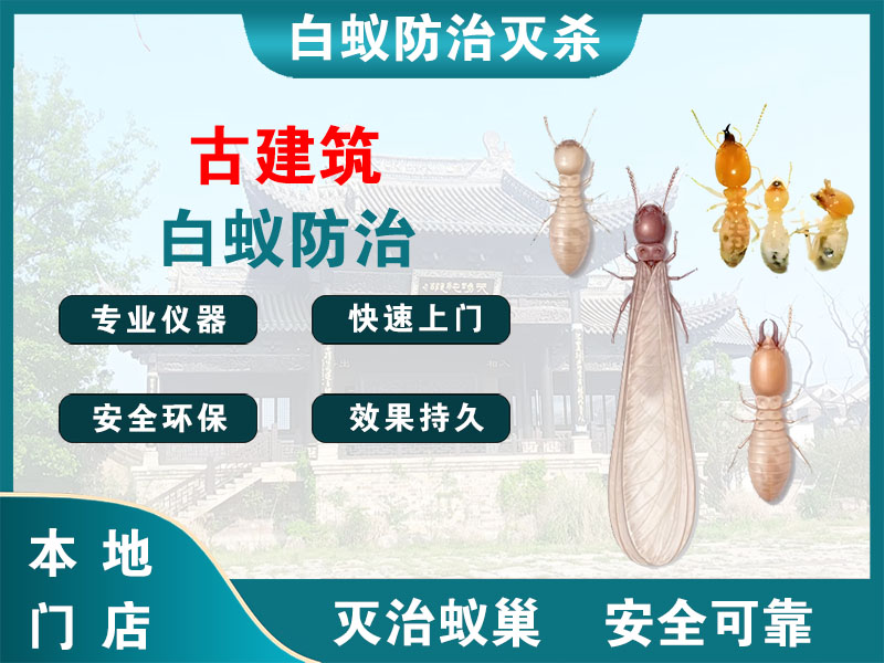 新沂古建筑白蚁防治