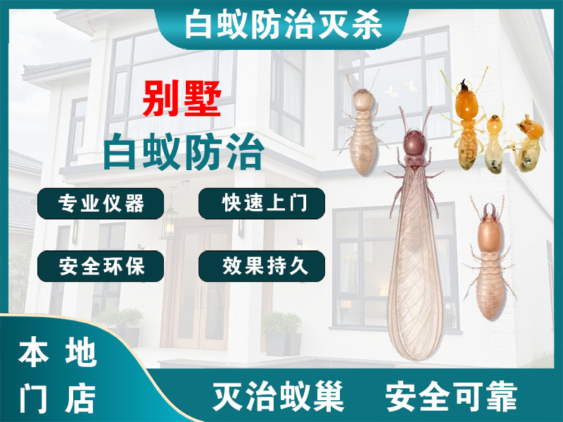 新沂别墅白蚁防治